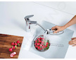 Grohe Eurodisc Cosmopolitan - Páková dřezová baterie, chrom 32257002