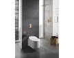 Grohe Rainshower Cosmopolitan - Hlavová sprcha Cosmopolitan 310 s ramenem 38 cm, 1 proud, Cool Sunrise 26066GL0