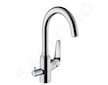 Hansgrohe Focus M42 - Dřezová baterie M424-H220 s uzavíracím ventilem, chrom 71803000