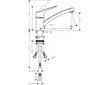 Hansgrohe Logis - Páková dřezová baterie 120, chrom 71831000