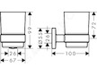 Hansgrohe Logis Universal - Sklenička na ústní hygienu, sklo/chrom 41718000