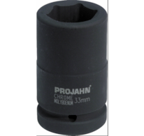 PROJAHN 1